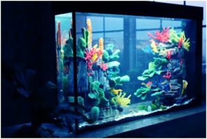 ideas-para-decorar-tu-acuario-en-casa