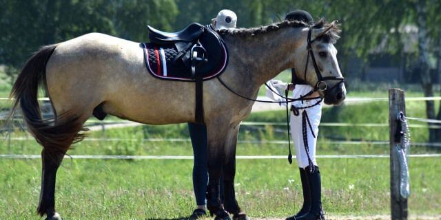 como montar a caballo